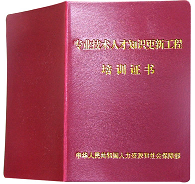 中华人民共和国注册电气工程师考试证书样本