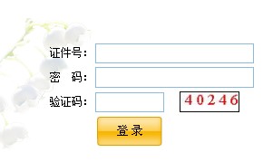 北京2013年成人高考线上调剂录取报名入口