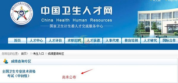 中国卫生人才网:2015卫生资格考试成绩查询时