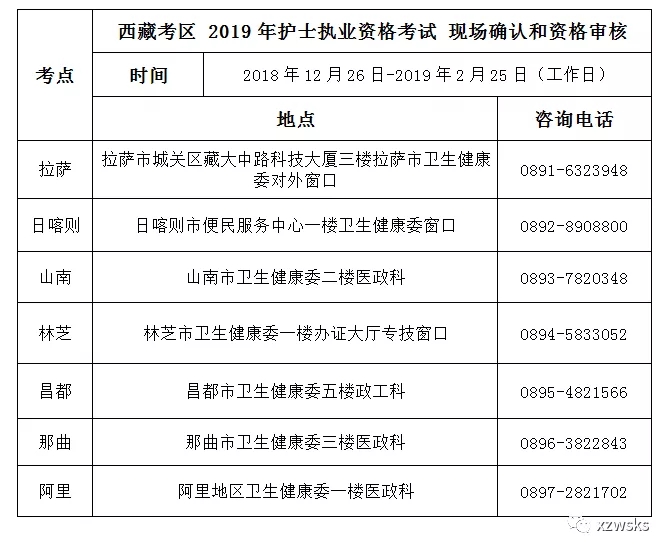 西藏2019年护士执业资格考试报名官方公告